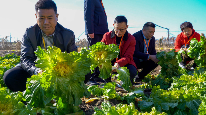 公益力量走进海州新坝：助力乡村振兴 传递温暖关爱